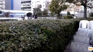 三级日本无码不卡_刚刚更新18禁成人视频